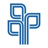 iPanda
